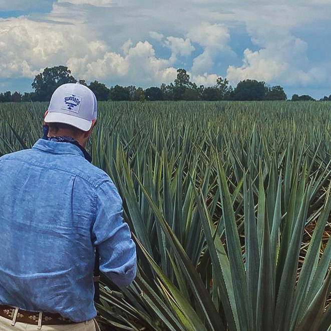 Buena Fe Founder in Agave Field